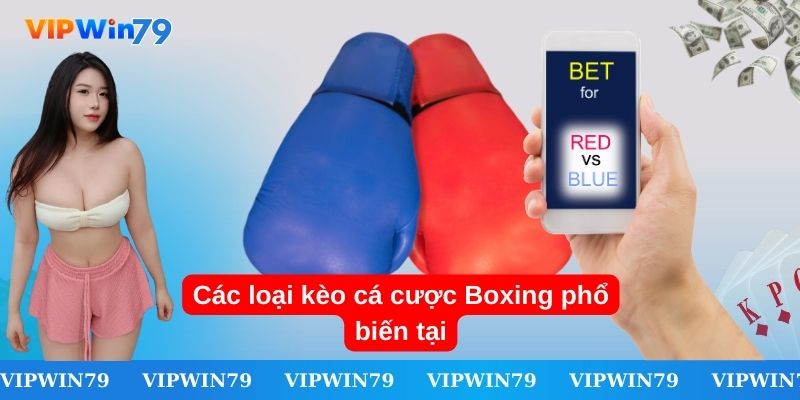 Các loại kèo Boxing được nhiều người chơi lựa chọn