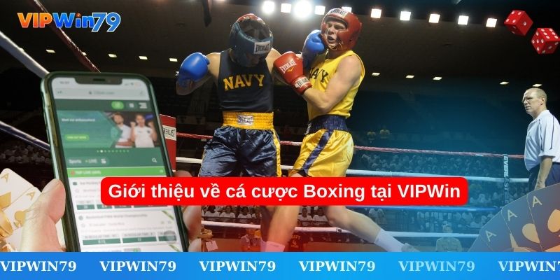 Giới thiệu về cá cược Boxing tại VIPWin