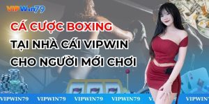 Cá Cược Boxing Tại Nhà Cái VIPWin Cho Người Mới Chơi