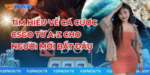 Hướng Dẫn Chọn Kèo Cá Cược Dota 2 Chính Xác