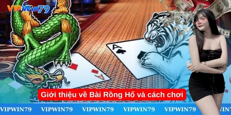 Giới thiệu về Bài Rồng Hổ và cách chơi