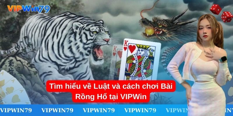 Tìm hiểu về Luật và cách chơi Bài Rồng Hổ tại VIPWin