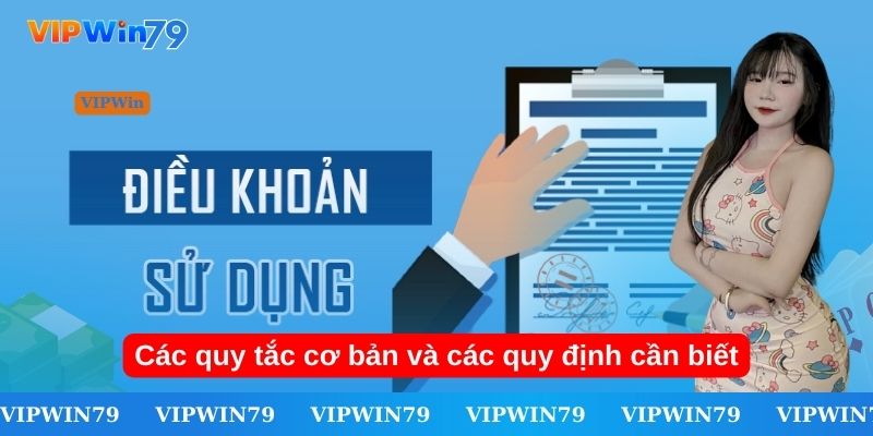 Vì sao rất cần có điều khoản và điều kiện