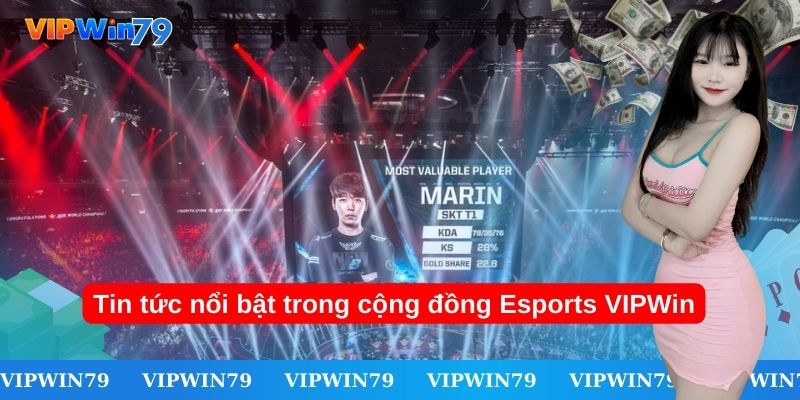 Tin tức nổi bật trong cộng đồng Esports VIPWin