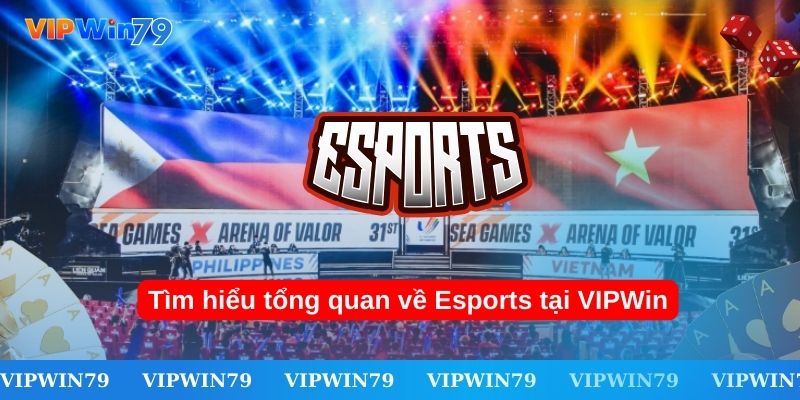 Tìm hiểu tổng quan về Esports tại VIPWin