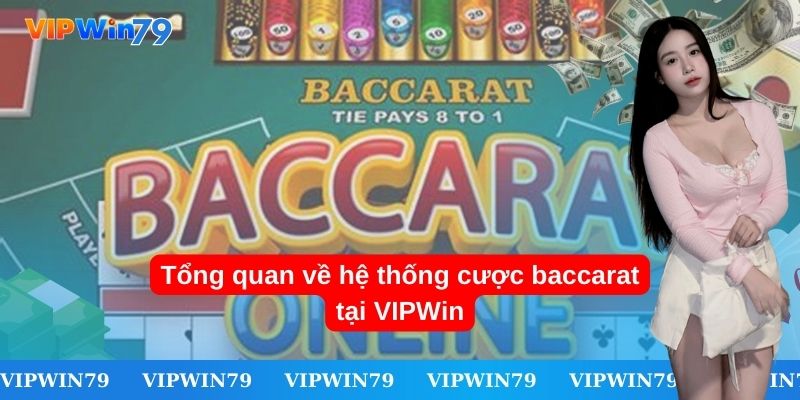 Tổng quan về hệ thống cược baccarat tại VIPWin