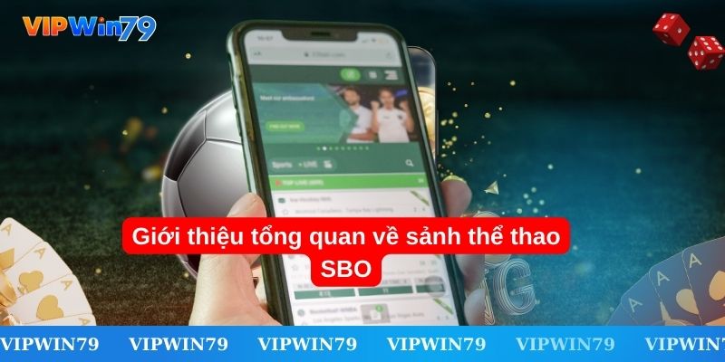 Khái quát đôi nét về sảnh thể thao SBO