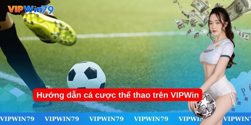 Hướng dẫn cá cược thể thao trên VIPWin